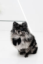 Load image into Gallery viewer, DOGGY DICKY BOWS