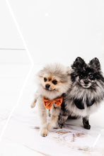 Load image into Gallery viewer, DOGGY DICKY BOWS