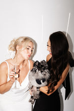 Load image into Gallery viewer, DOGGY DICKY BOWS